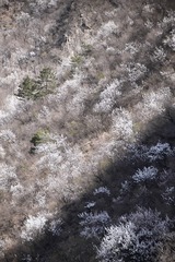 _MG_2256-1