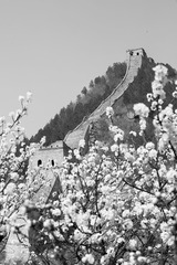 _MG_3566-1