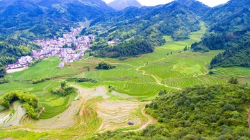DJI_0254-PR