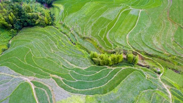 DJI_0310-PR