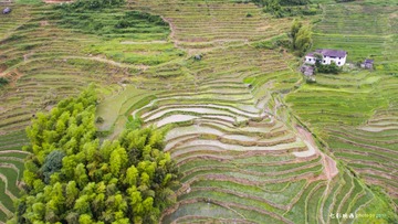 DJI_0314-PR-1