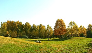 20141112_093612