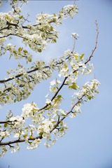 6F198837-AEA8-48BE-9D74-BE3233ECD561/L0/001