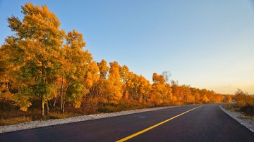 31-内蒙古-秋景-道路