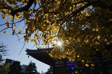 L1040058_1-SS
