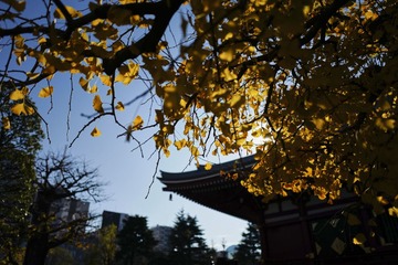 L1040056-SS
