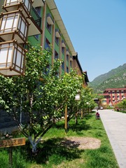 P1140100_min