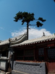 P1140065_min