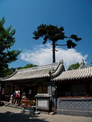 P1140063_min