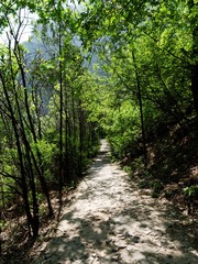 P1140032_min