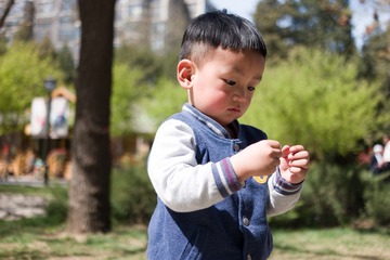 SAM_2017