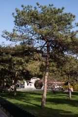 SAM_2186
