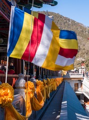 SAM_1405