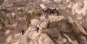SAM_1654