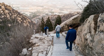 SAM_1737