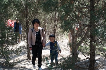 SAM_1842