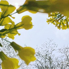 B4CC2BF8-73C8-45B7-8A1F-5E287097AE69/L0/001