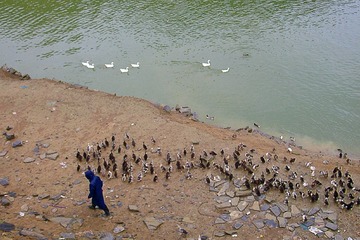 IMG_20150419_194922