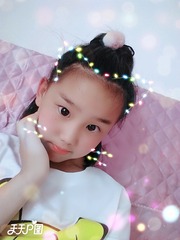 80513