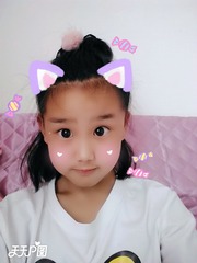 80519