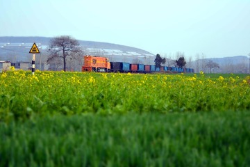CSC_0343_