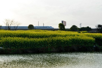 DSC_0500_-1