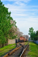 DSC_1162-1-1