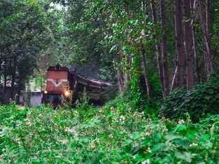 DSC_2833_1-1