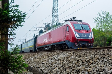 DSC_5000-1