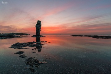 _DSC3437