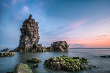_DSC4786