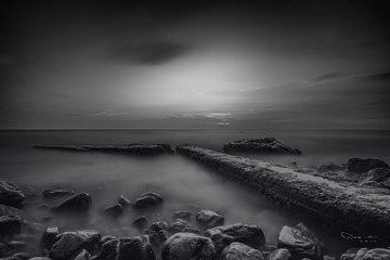 _DSC5452