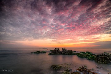 _DSC4597-编辑