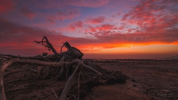 _DSC9760