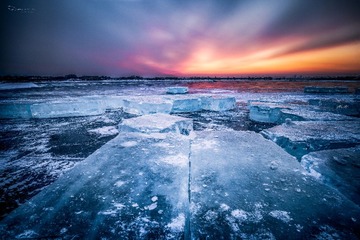 _DSC9449