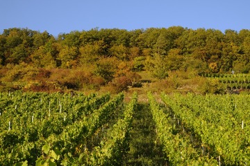 _DSC3810-Pano