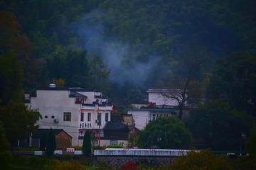 IMG_5173_