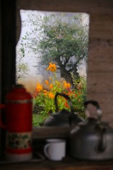 IMG_5290_