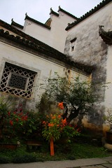IMG_5366_