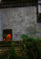 IMG_5412_