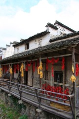 IMG_5492_