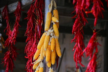 IMG_5535_