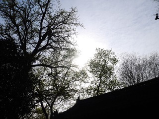 GF620150411234259