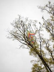 GF620150415172913