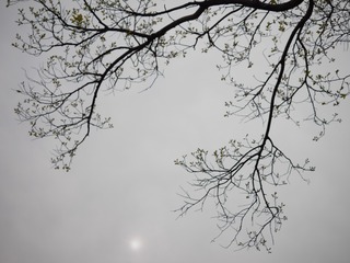 GF620150415172916