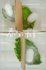 6BDD7A2B-EF7D-4DF6-9AB6-75C48AA7E875/L0/001