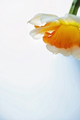 0DD398AF-4230-4046-AE7D-8994830AC101/L0/001