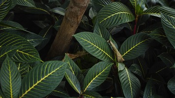 DP2Q0237