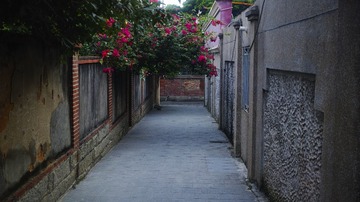 DP2Q0234