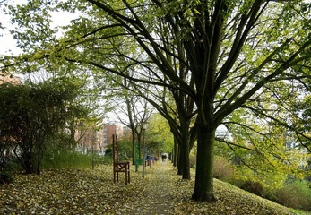 DSC00733r